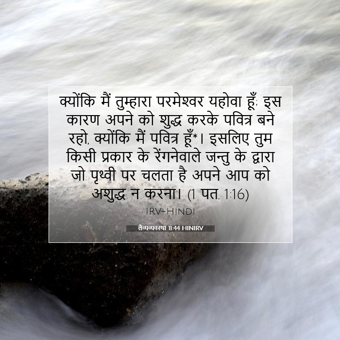लैव्यव्यवस्था 11:44