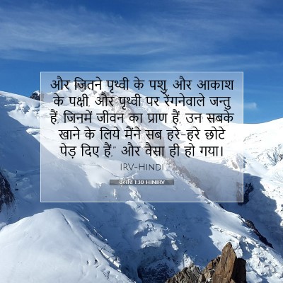 उत्पत्ति 1:30 बाइबल आयत की व्याख्या