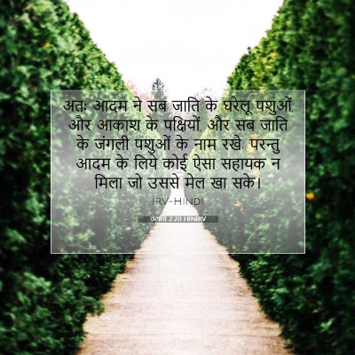 उत्पत्ति 2:20 बाइबल आयत की व्याख्या