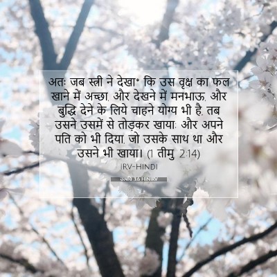 उत्पत्ति 3:6 बाइबल आयत की व्याख्या