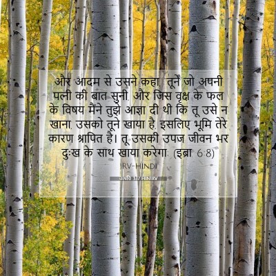 उत्पत्ति 3:17 बाइबल आयत की व्याख्या