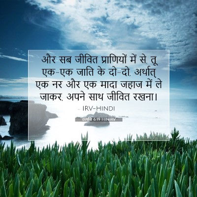 उत्पत्ति 6:19 बाइबल आयत की व्याख्या