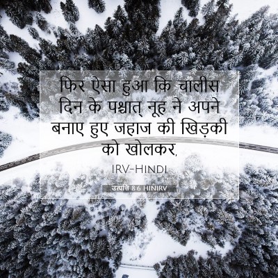 उत्पत्ति 8:6 बाइबल आयत की व्याख्या