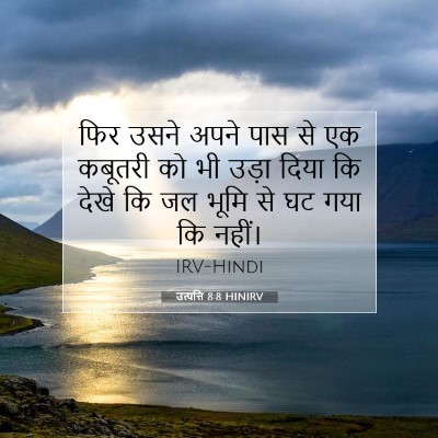 उत्पत्ति 8:8 बाइबल आयत की व्याख्या