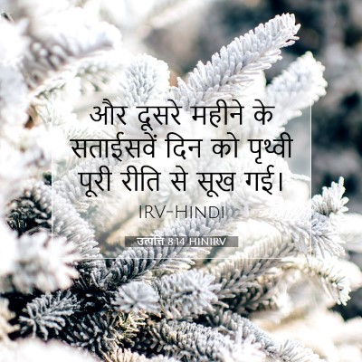 उत्पत्ति 8:14 बाइबल आयत की व्याख्या