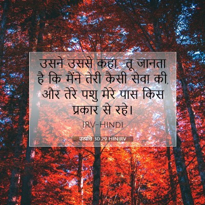 उत्पत्ति 30:29 बाइबल आयत की व्याख्या
