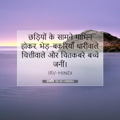 उत्पत्ति 30:39 बाइबल आयत की व्याख्या