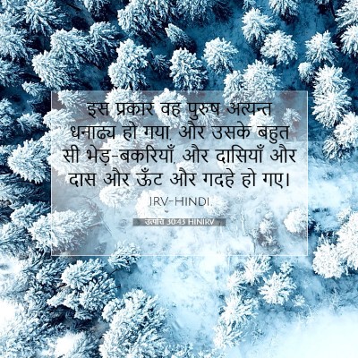 उत्पत्ति 30:43 बाइबल आयत की व्याख्या