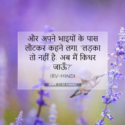 उत्पत्ति 37:30 बाइबल आयत की व्याख्या