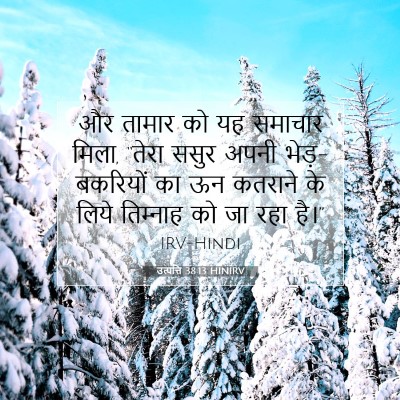 उत्पत्ति 38:13 बाइबल आयत की व्याख्या