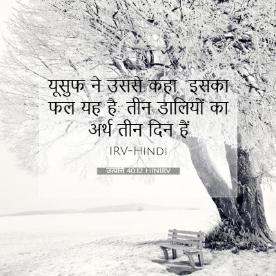 उत्पत्ति 40:12 बाइबल आयत की व्याख्या