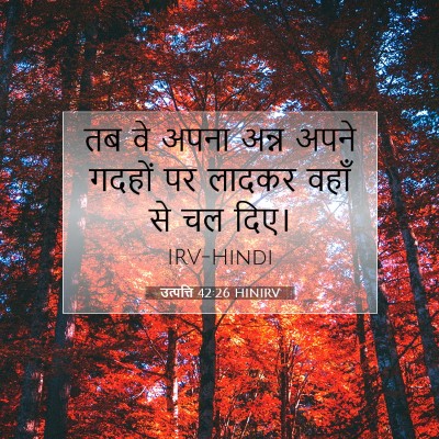 उत्पत्ति 42:26 बाइबल आयत की व्याख्या