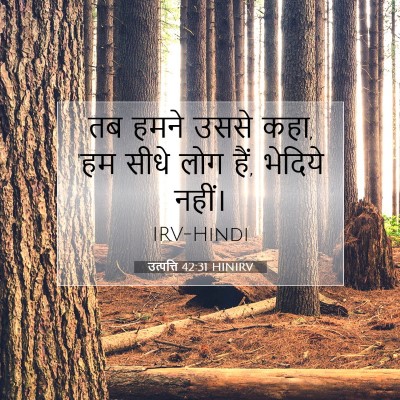 उत्पत्ति 42:31 बाइबल आयत की व्याख्या