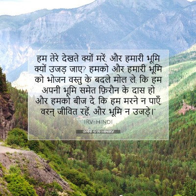 उत्पत्ति 47:19 बाइबल आयत की व्याख्या