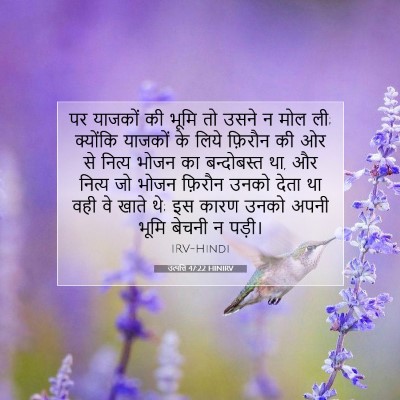 उत्पत्ति 47:22 बाइबल आयत की व्याख्या