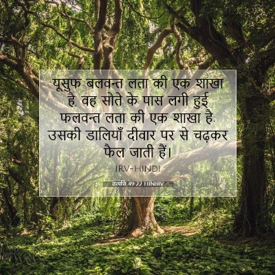 उत्पत्ति 49:22 HINIRV बाइबल आयत इमेज