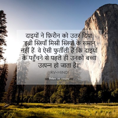 निर्गमन 1:19 बाइबल आयत की व्याख्या