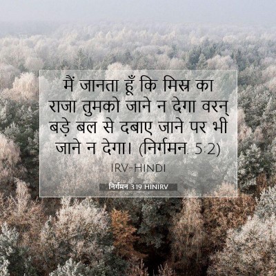 निर्गमन 3:19 HINIRV बाइबल आयत इमेज