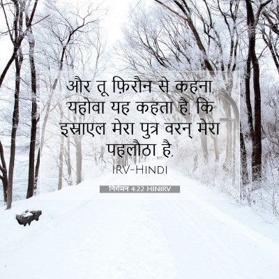 निर्गमन 4:22 HINIRV बाइबल आयत इमेज
