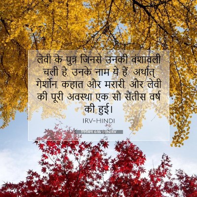 निर्गमन 6:16 HINIRV बाइबल आयत इमेज