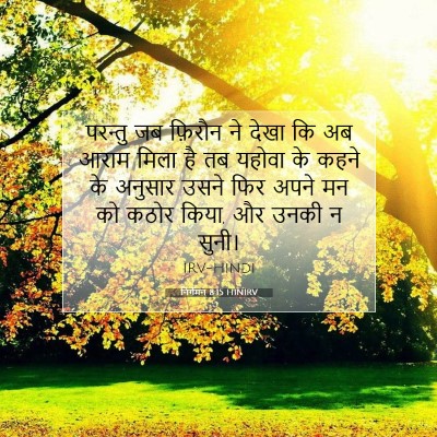 निर्गमन 8:15 HINIRV बाइबल आयत इमेज