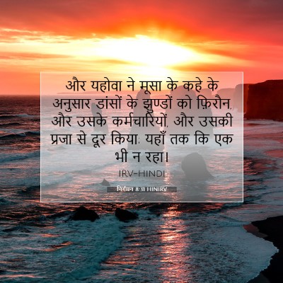 निर्गमन 8:31 HINIRV बाइबल आयत इमेज