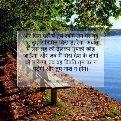 निर्गमन 12:13 HINIRV बाइबल आयत इमेज
