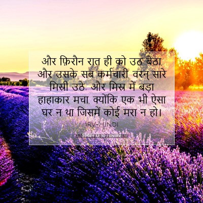निर्गमन 12:30 HINIRV बाइबल आयत इमेज