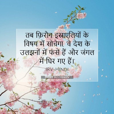 निर्गमन 14:3 HINIRV बाइबल आयत इमेज