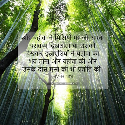 निर्गमन 14:31 HINIRV बाइबल आयत इमेज