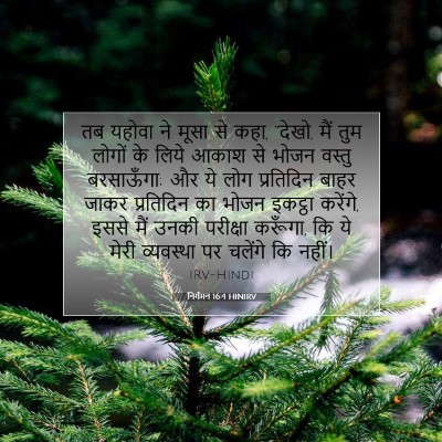 निर्गमन 16:4 HINIRV बाइबल आयत इमेज
