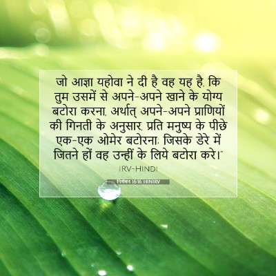निर्गमन 16:16 HINIRV बाइबल आयत इमेज