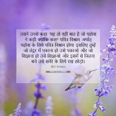 निर्गमन 16:23 HINIRV बाइबल आयत इमेज