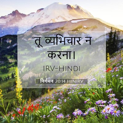 निर्गमन 20:14 HINIRV बाइबल आयत इमेज