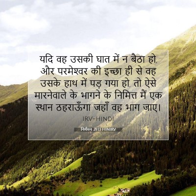 निर्गमन 21:13 HINIRV बाइबल आयत इमेज