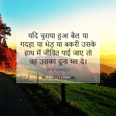 निर्गमन 22:4 HINIRV बाइबल आयत इमेज