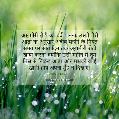 निर्गमन 23:15 HINIRV बाइबल आयत इमेज