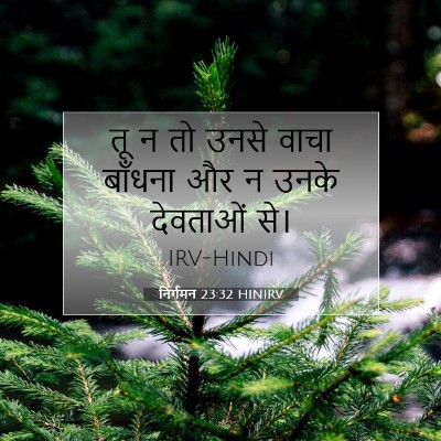निर्गमन 23:32 HINIRV बाइबल आयत इमेज
