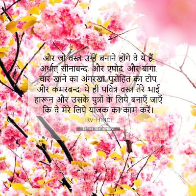 निर्गमन 28:4 HINIRV बाइबल आयत इमेज