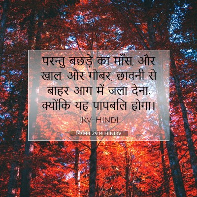 निर्गमन 29:14 HINIRV बाइबल आयत इमेज