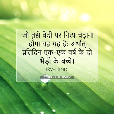 निर्गमन 29:38 HINIRV बाइबल आयत इमेज