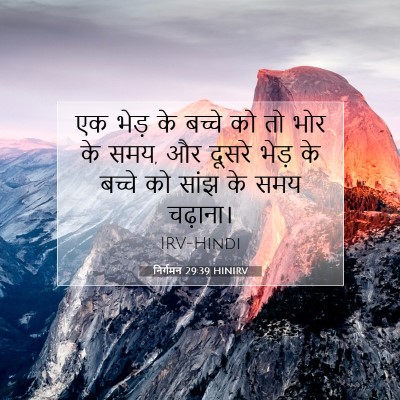 निर्गमन 29:39 HINIRV बाइबल आयत इमेज