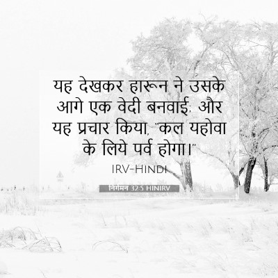 निर्गमन 32:5 HINIRV बाइबल आयत इमेज