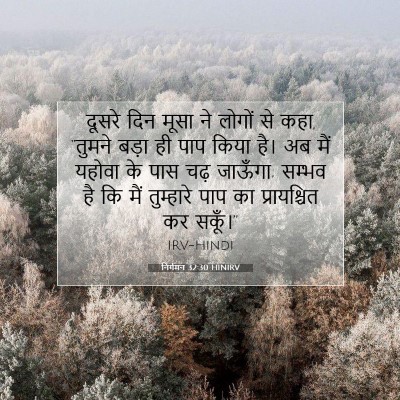 निर्गमन 32:30 HINIRV बाइबल आयत इमेज