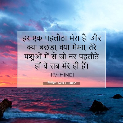निर्गमन 34:19 HINIRV बाइबल आयत इमेज