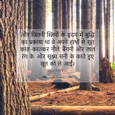निर्गमन 35:25 HINIRV बाइबल आयत इमेज