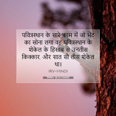 निर्गमन 38:24 HINIRV बाइबल आयत इमेज
