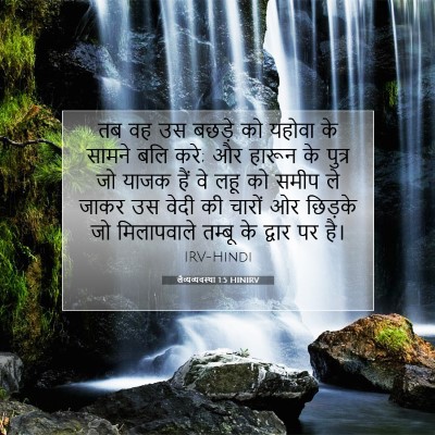 लैव्यव्यवस्था 1:5 बाइबल आयत की व्याख्या