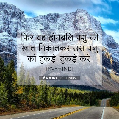 लैव्यव्यवस्था 1:6 बाइबल आयत की व्याख्या