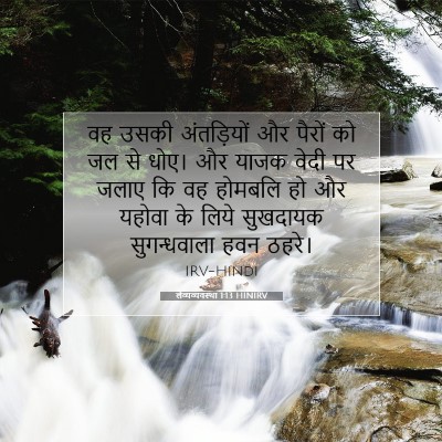 लैव्यव्यवस्था 1:13 बाइबल आयत की व्याख्या